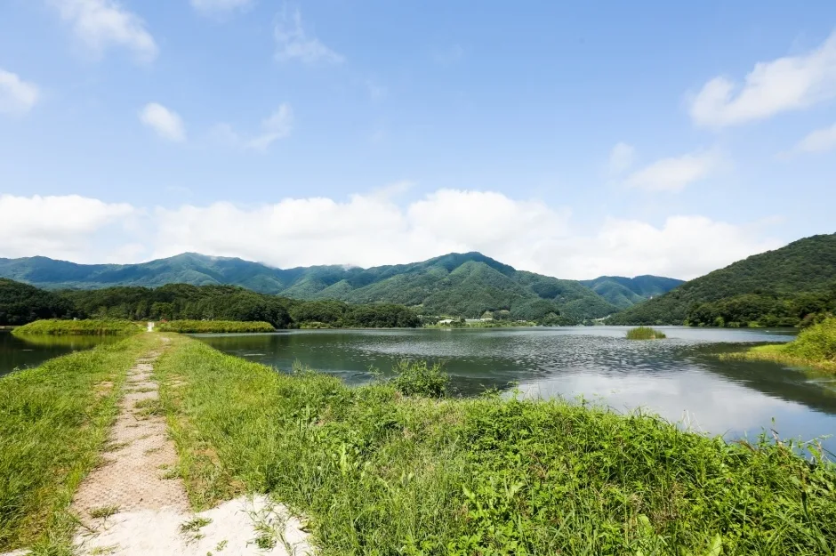 파로호 하트섬_4