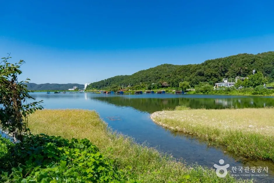 용인_용덕지 (6)