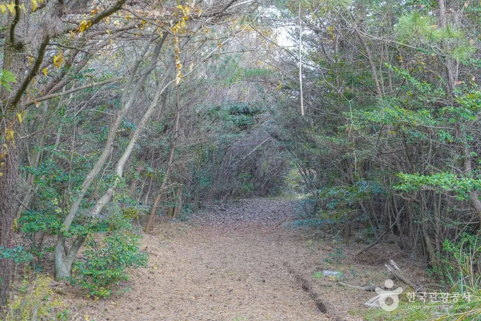 서귀포_미악산 (4)