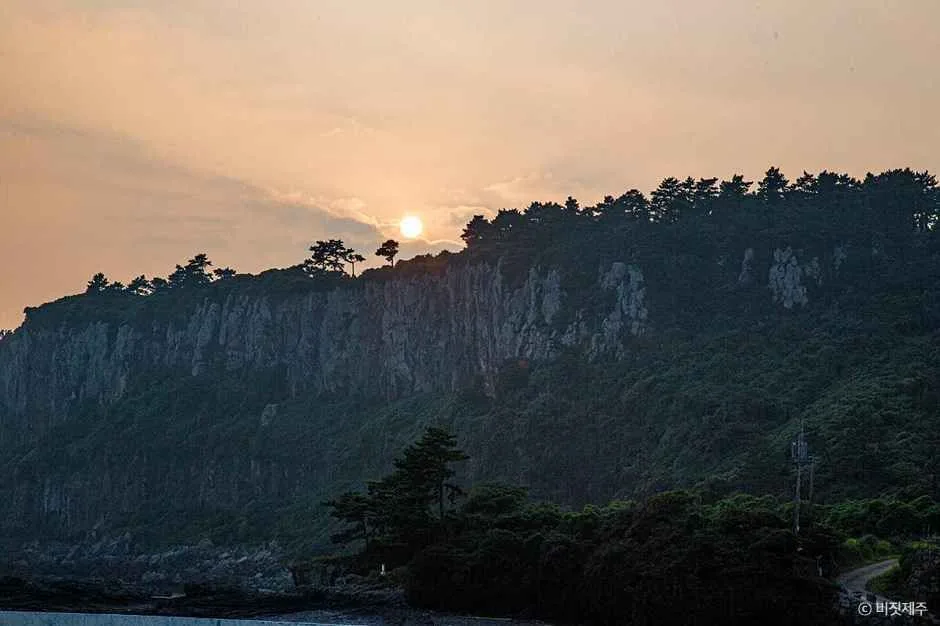 서귀포_박수기정 (5).jpg