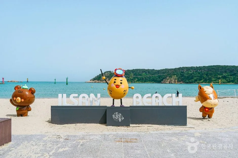 울산_일산해수욕장(울산) (4)
