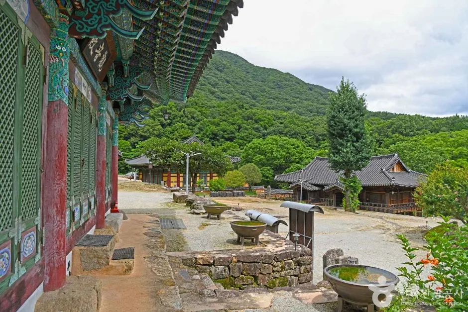 유마사 (4)