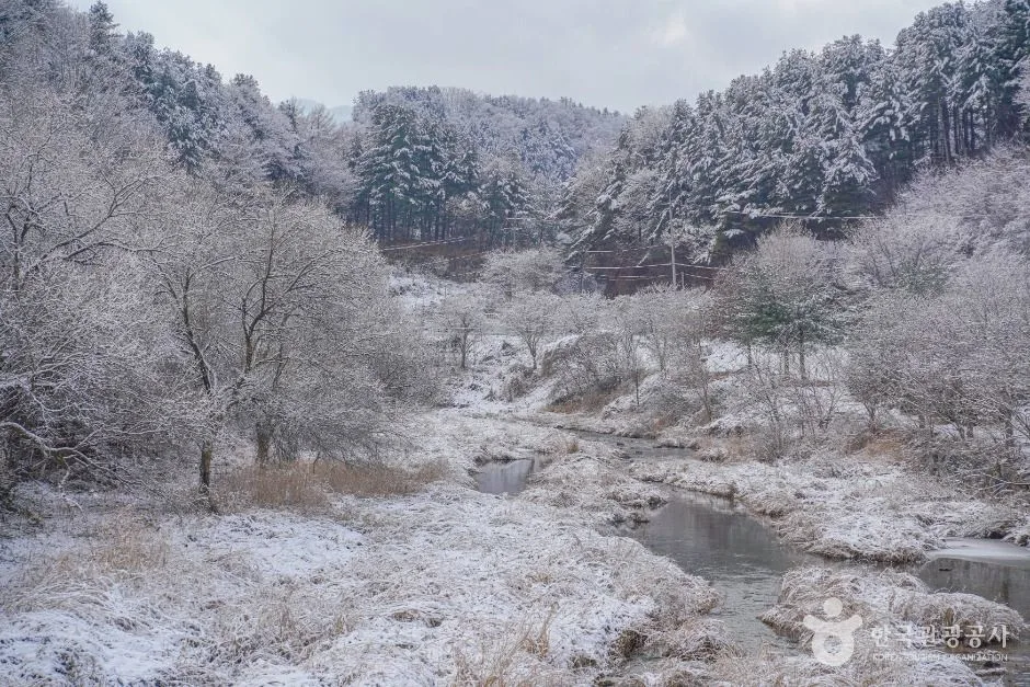 양평_명달리계곡 (3)
