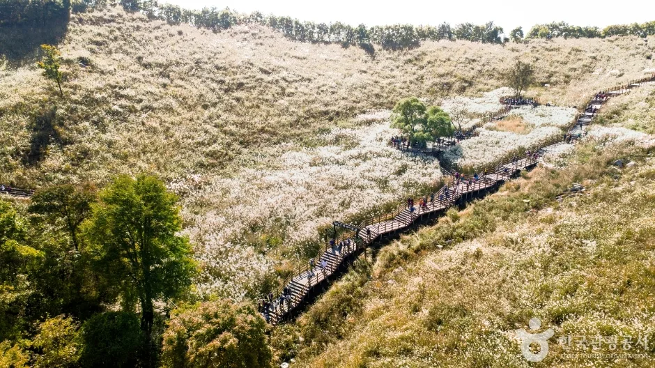 명성산억새밭 (2)