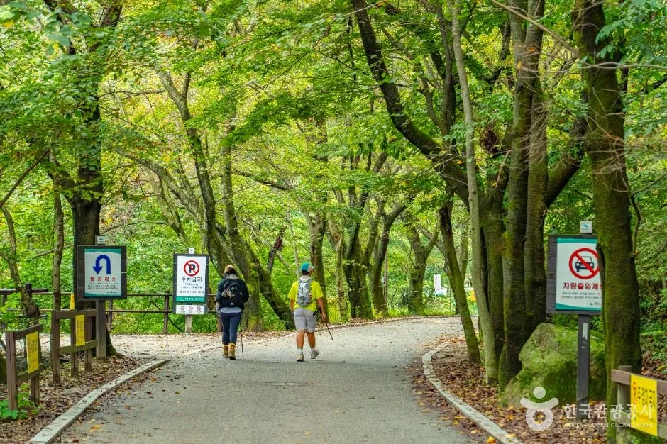 공주_동학사(공주) (2)