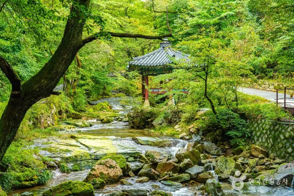 공주_동학사(공주) (4)