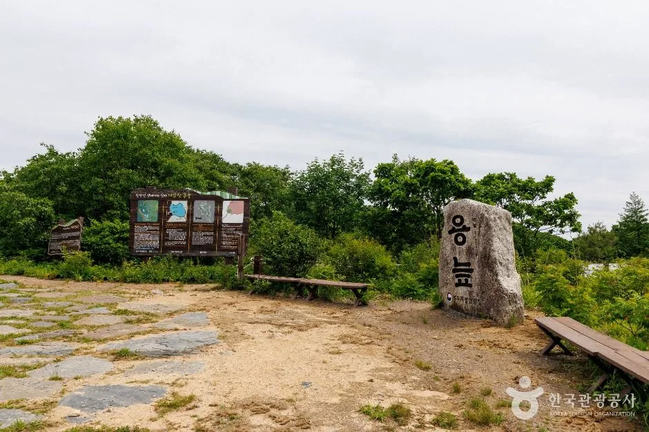 대암산용늪
