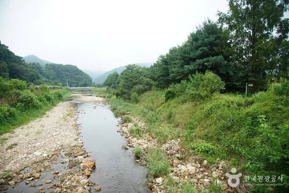 홍천 무궁화마을 (33)
