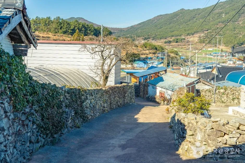 완도_상서마을 옛 돌담길 (5)