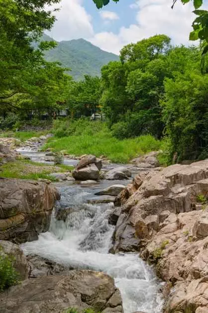 청도_삼계리계곡 (2).jpg