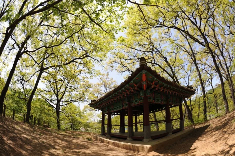 청주_옥화9경 (4)
