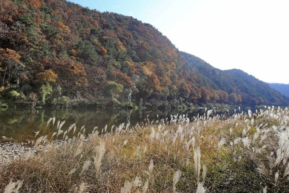 청주_옥화9경 (9)