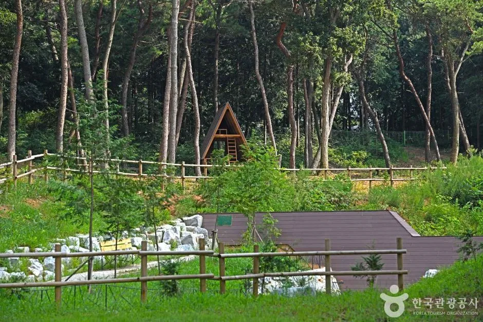 전북_군산_킹콩놀이터 (4)