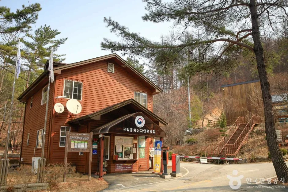 국립 용화산자연휴양림 (8)