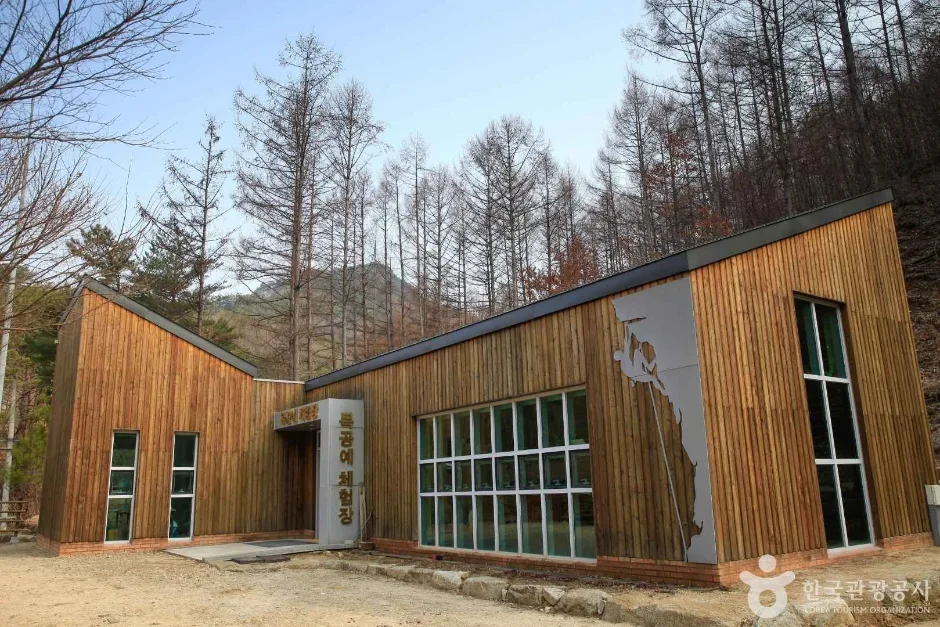 국립 용화산자연휴양림 (7)