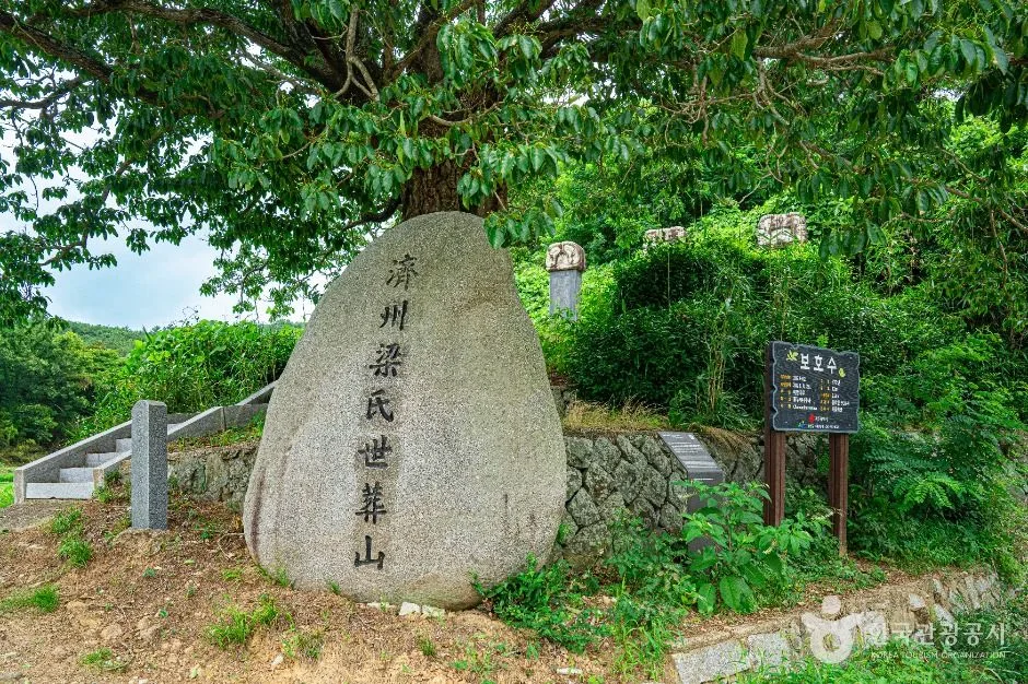광주_양송천묘역 (4)
