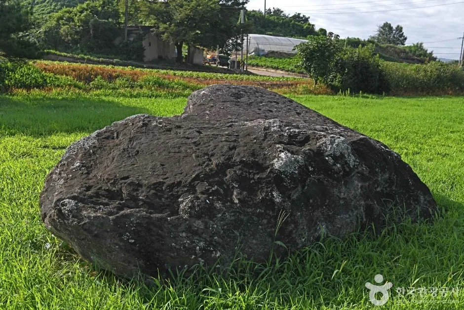 충주_충주 신청리 지석묘 (4)