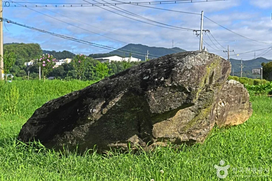 충주_충주 신청리 지석묘 (6)