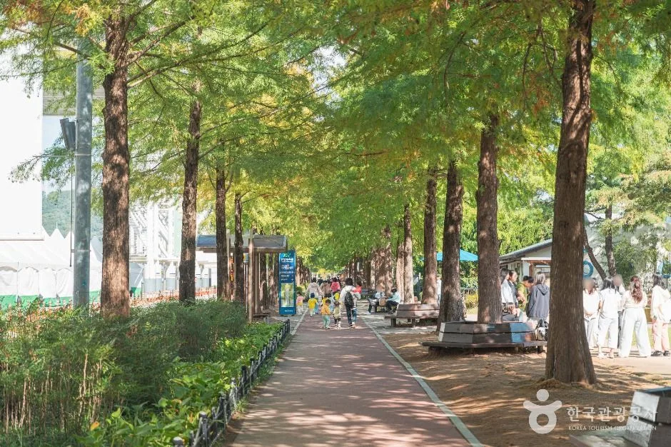 충청_대전_대전엑스포시민광장_외부_2.jpg