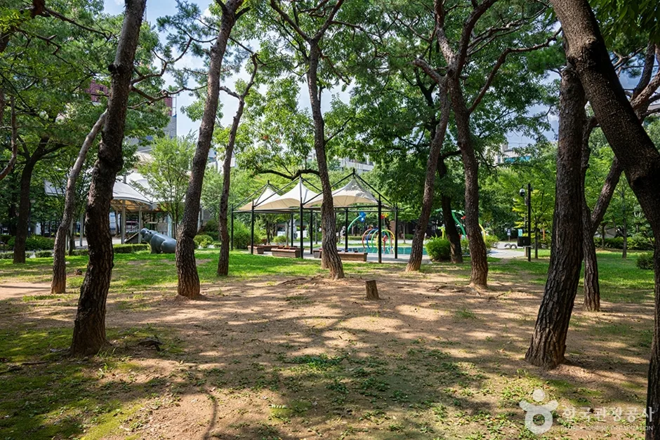 화정중앙공원 (5)