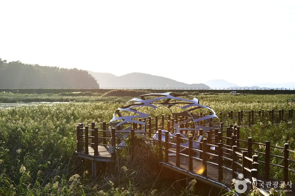 전남_여수_여수 가사리 갈대밭 (7)