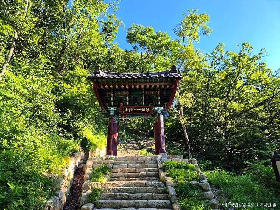 원주_치악산국립공원 (2).jpg