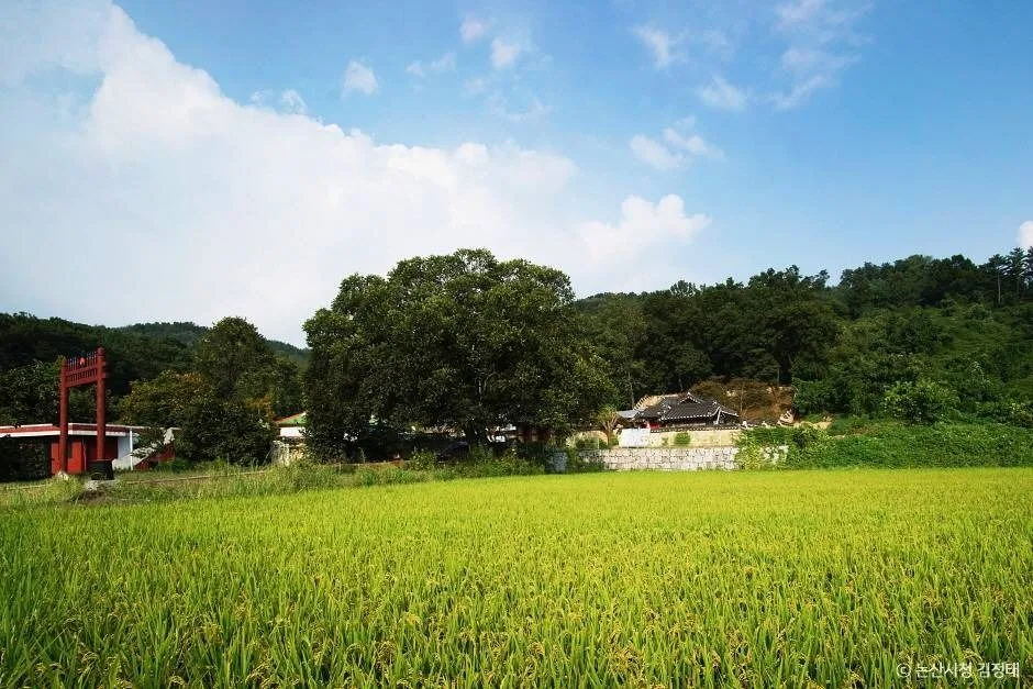 논산_충곡서원 (3)