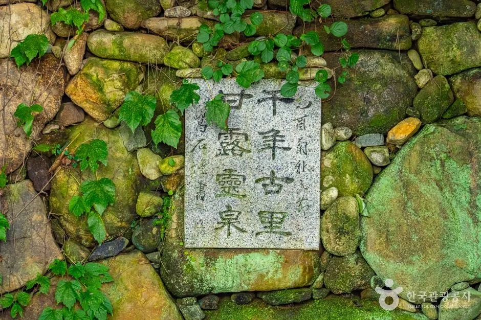 구례_당몰샘 (3)