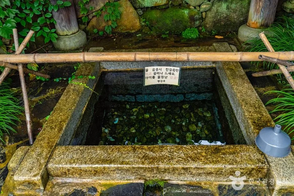 구례_당몰샘 (5)