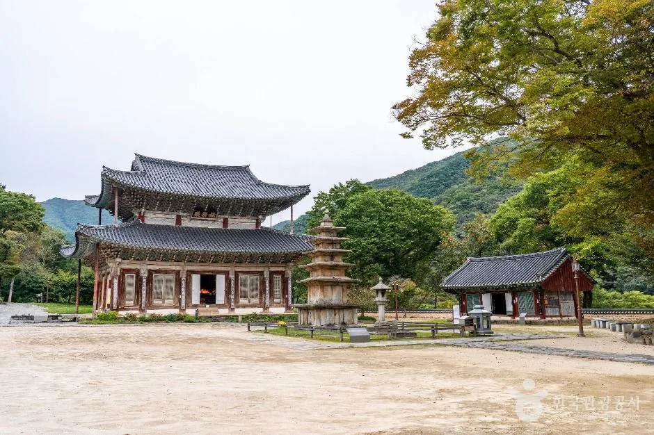부여_무량사(부여) (3)
