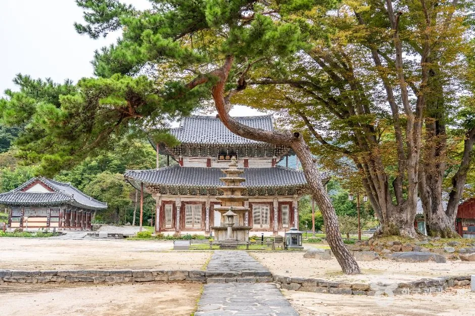 부여_무량사(부여) (2)