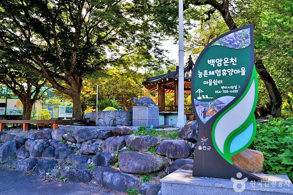 울진 백암온천마을
