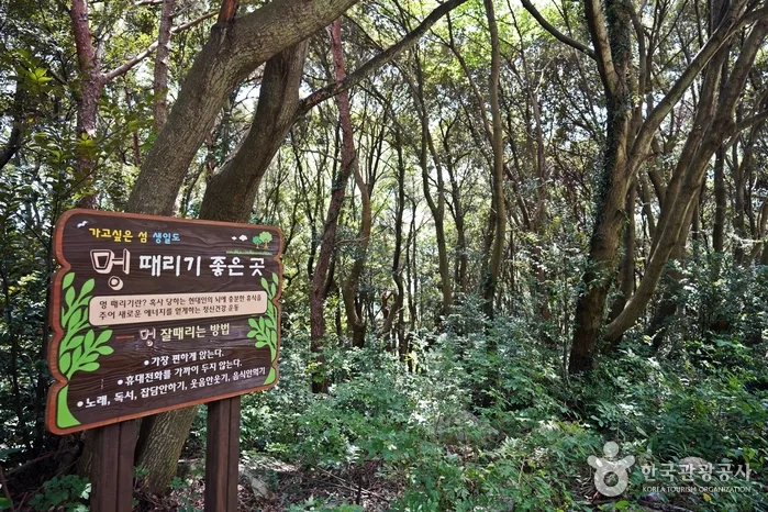 전남_완도_매일이 생일처럼 행복한 섬, 완도 생일도_03