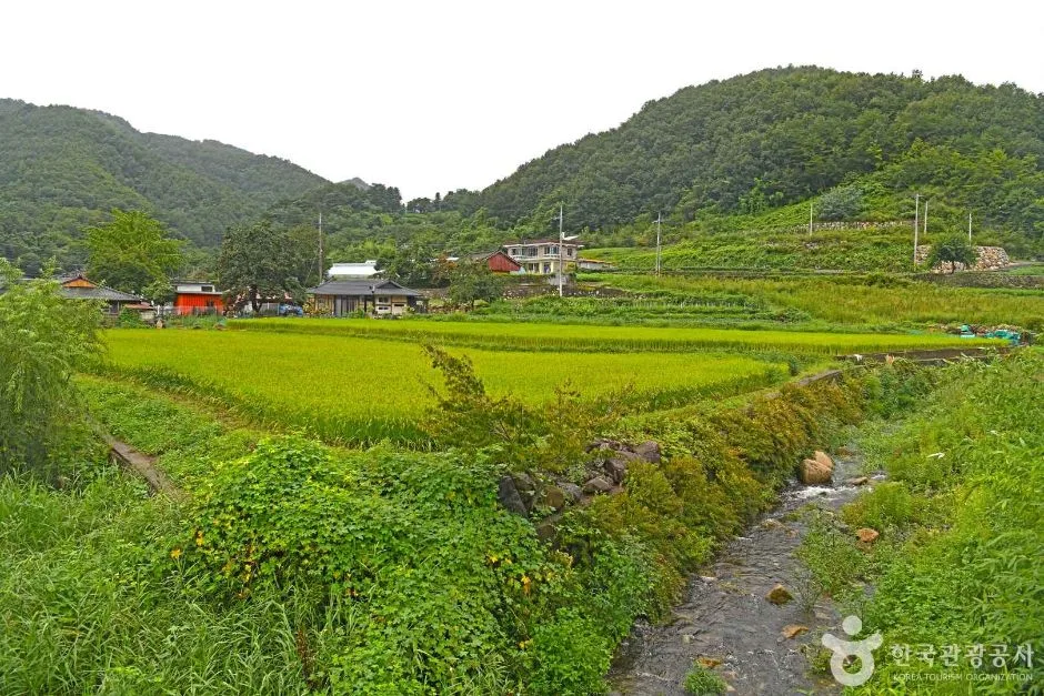 삼척_고천마을 (6)
