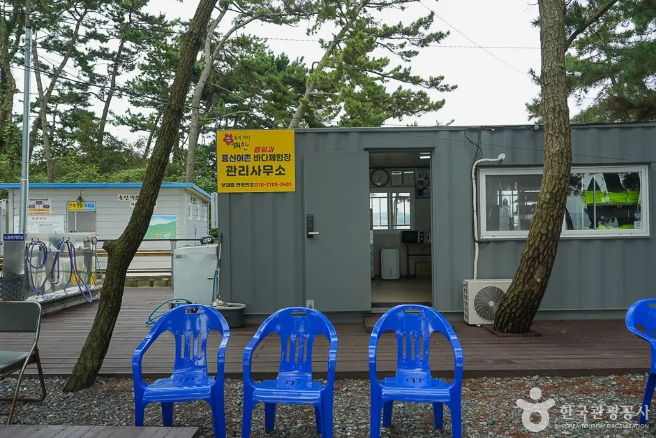 용신 어촌 체험 마을 (11)