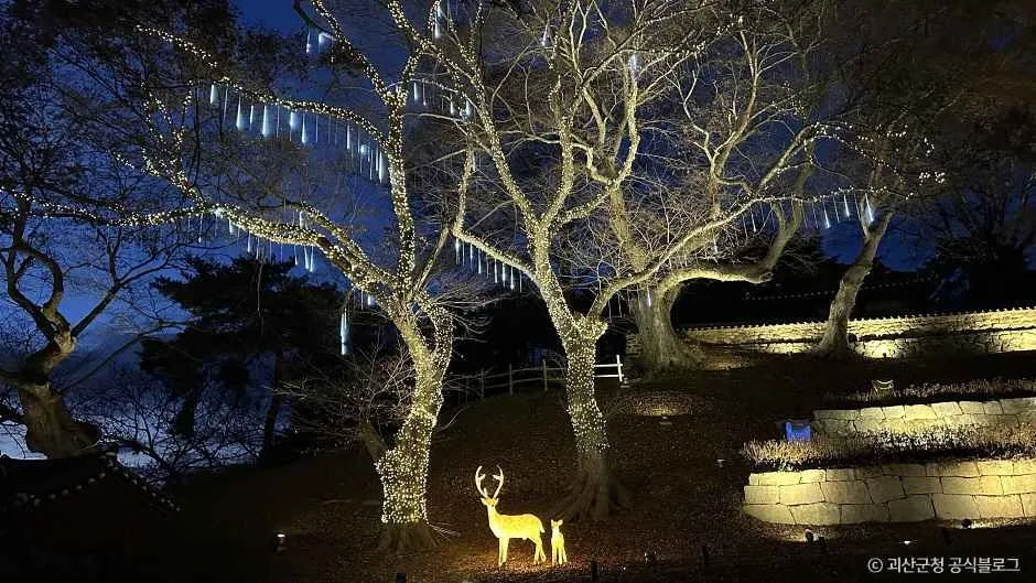 괴산_괴강불빛공원 (2).jpg