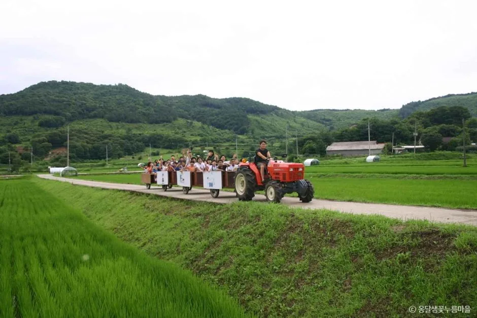 양평 옹달샘꽃누름마을 (5)