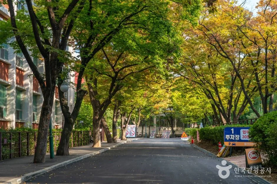 대구_남산동 가톨릭타운 (1)