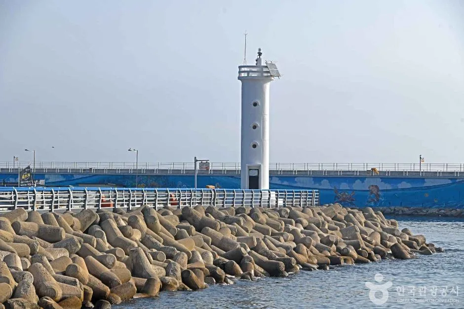 대진항 (7)