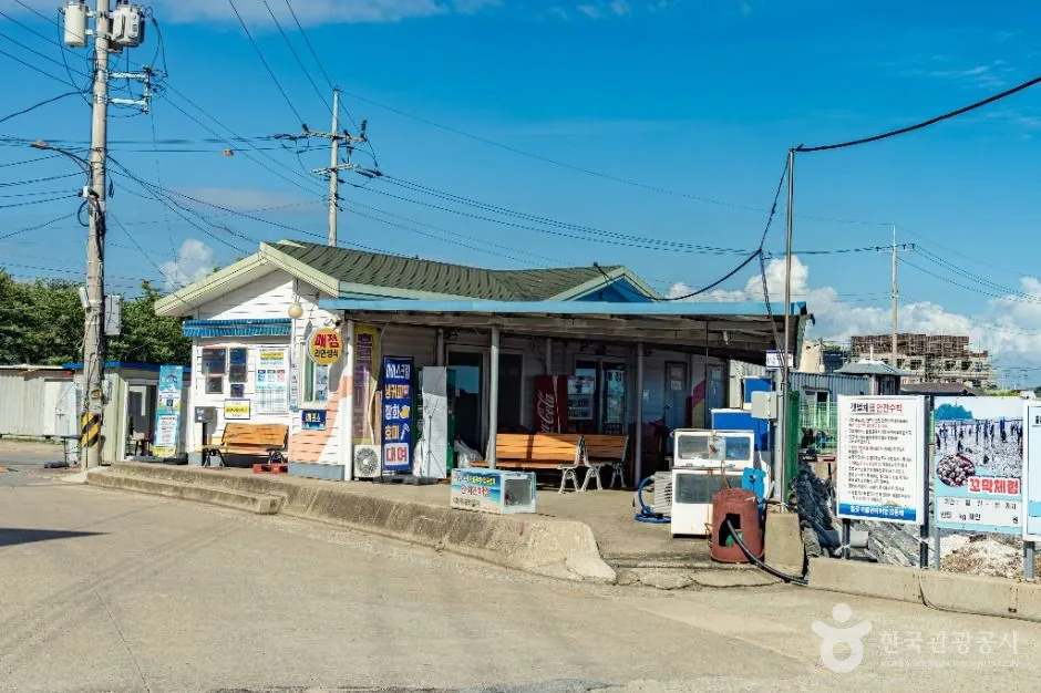 안산_대부도 흘곶 어촌체험 마을 (7)