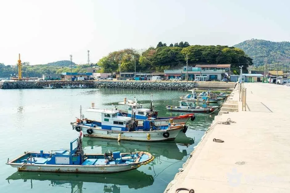 여수_묘도선착장 (8).jpg
