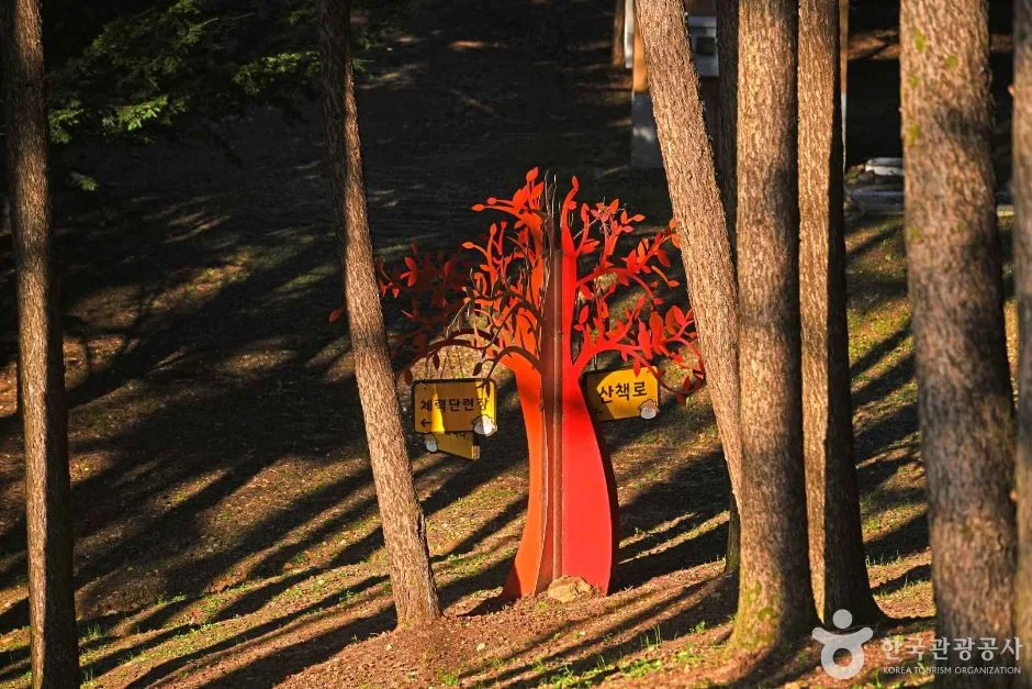 영월_봉래산산림욕장 (4)