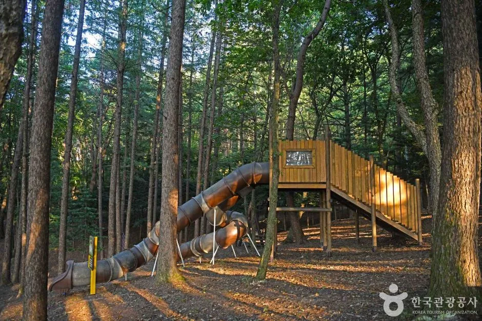 영월_봉래산산림욕장 (3)