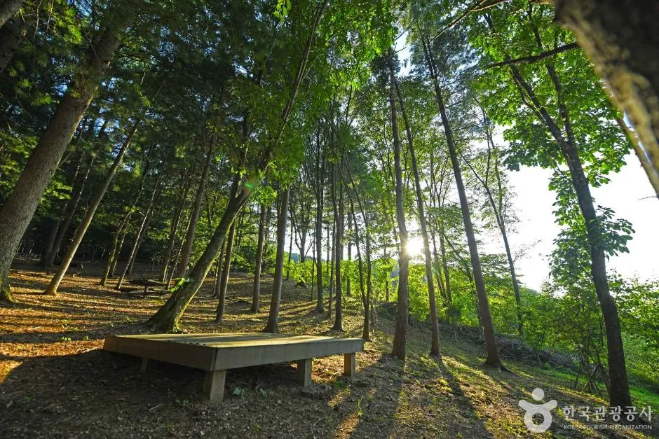영월_봉래산산림욕장 (5)