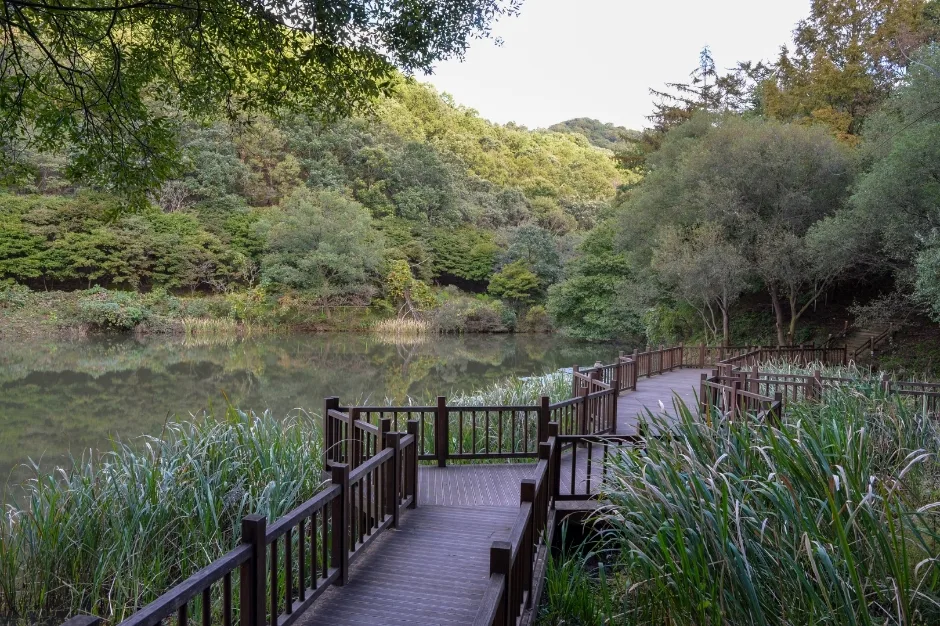 장동산림욕장 (10)