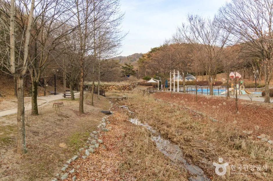 포항_도음산산림문화수련장 (5)