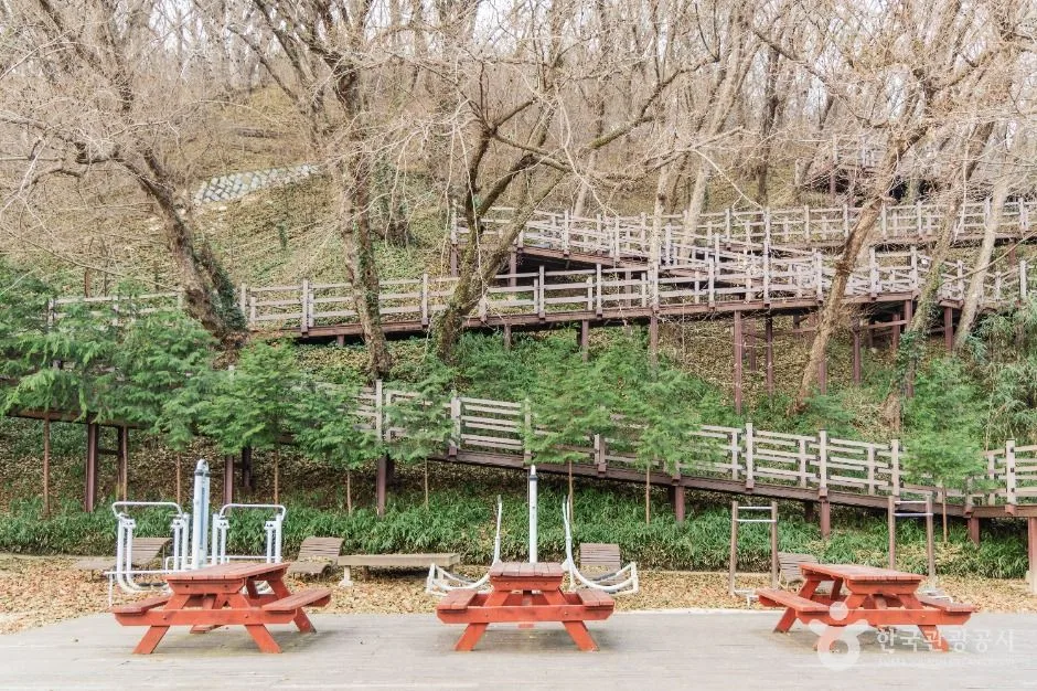 포항_도음산산림문화수련장 (7)