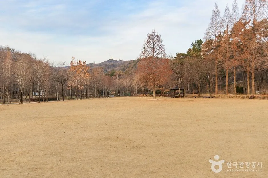 포항_도음산산림문화수련장 (2)