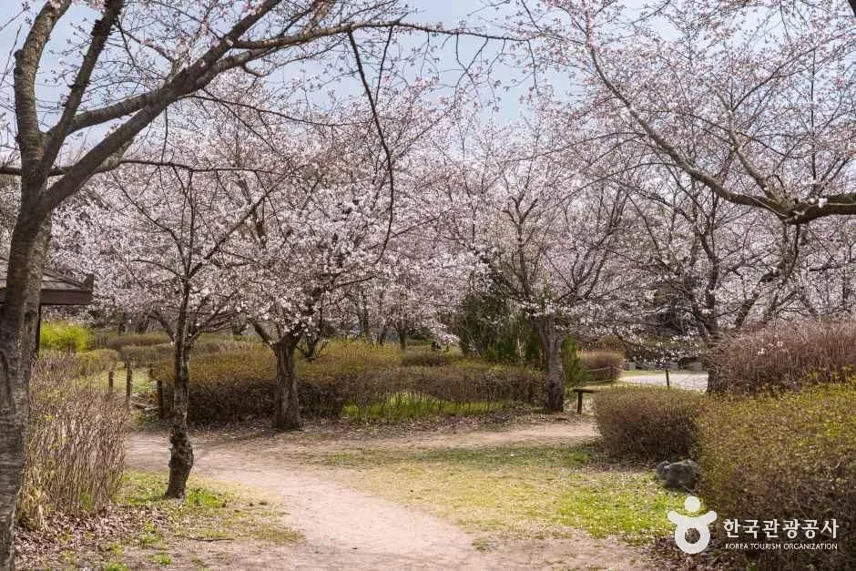 인천_남동구_인천대공원_외부_2.jpg
