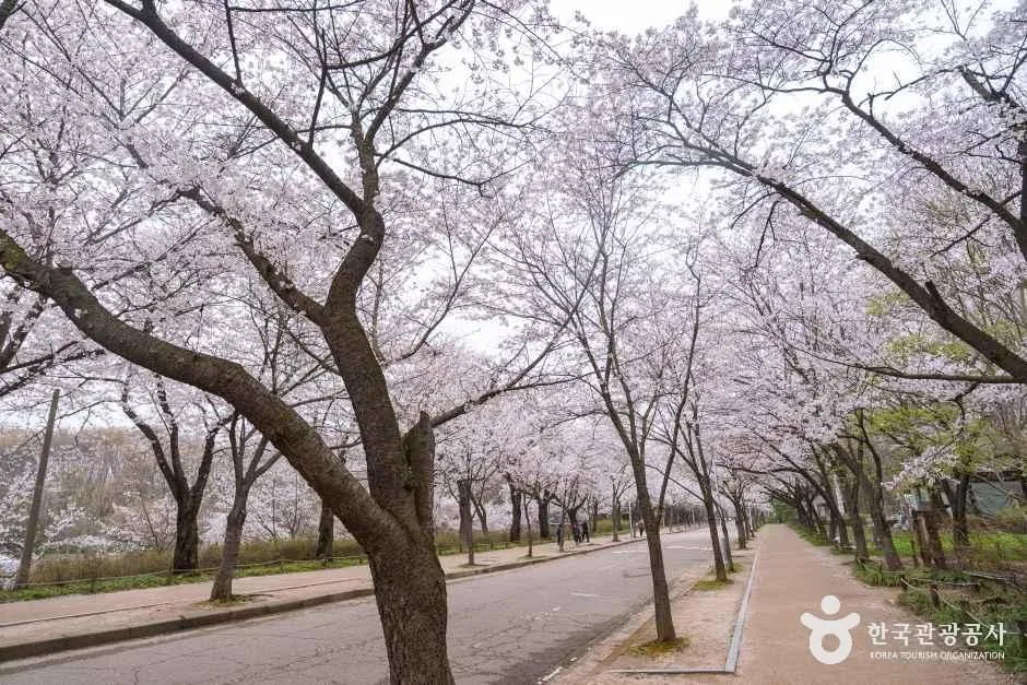 인천_남동구_인천대공원_외부_8.jpg